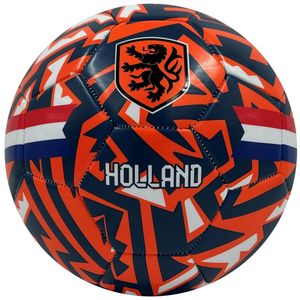Voetbal Holland met Leeuw en Flag
