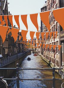 Oranje Vlaggenlijn 40 meter met 80 Oranje Puntvlaggen